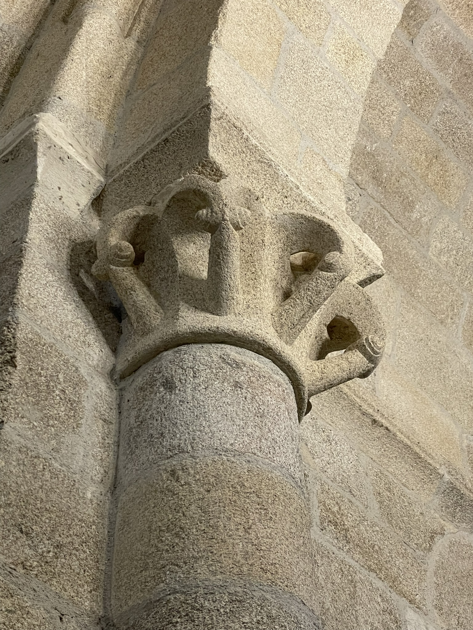 IMG_9062 - copia - copia - copia