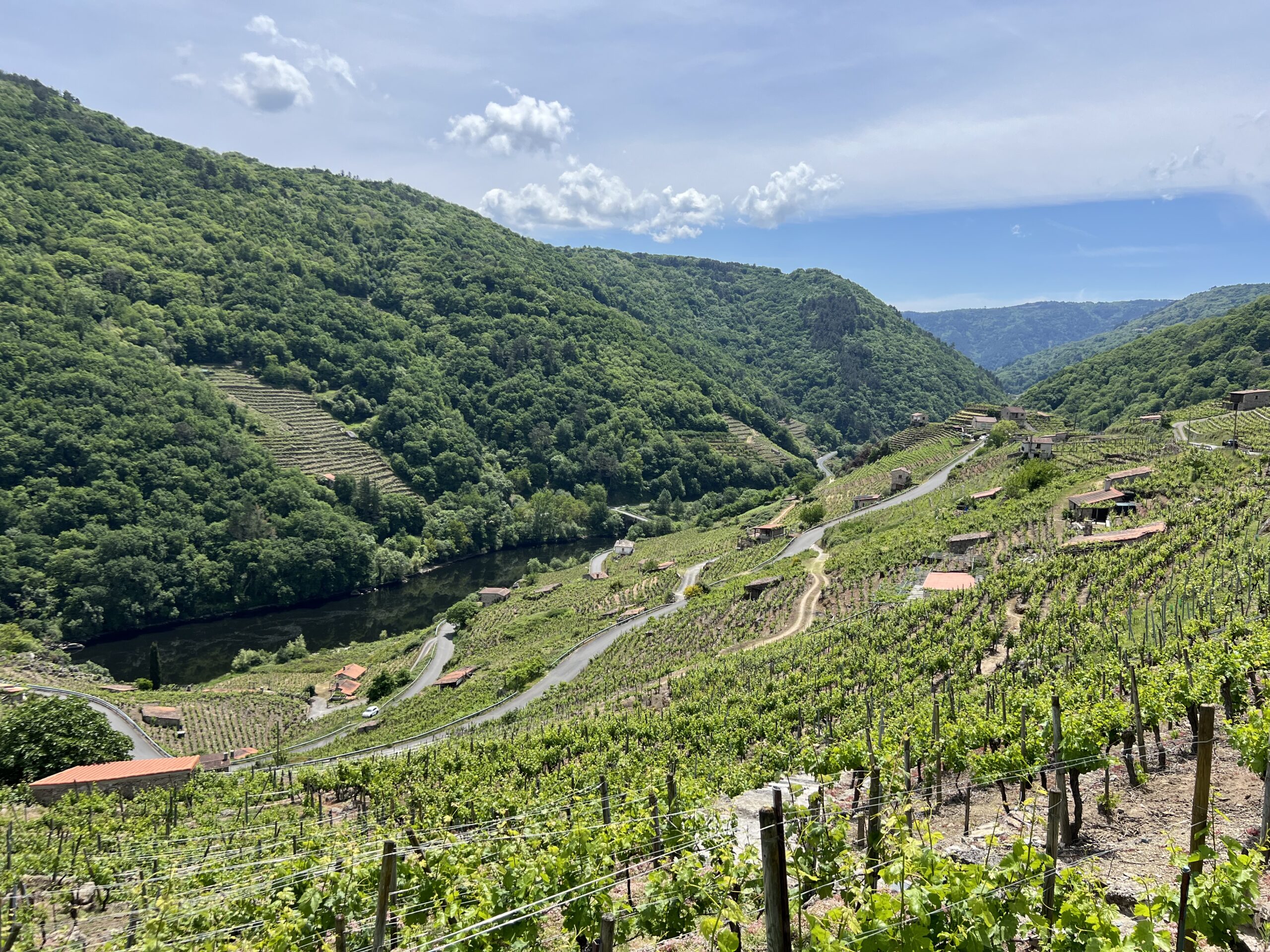 8564617F-540A-48D7-991C-E026444C2E13