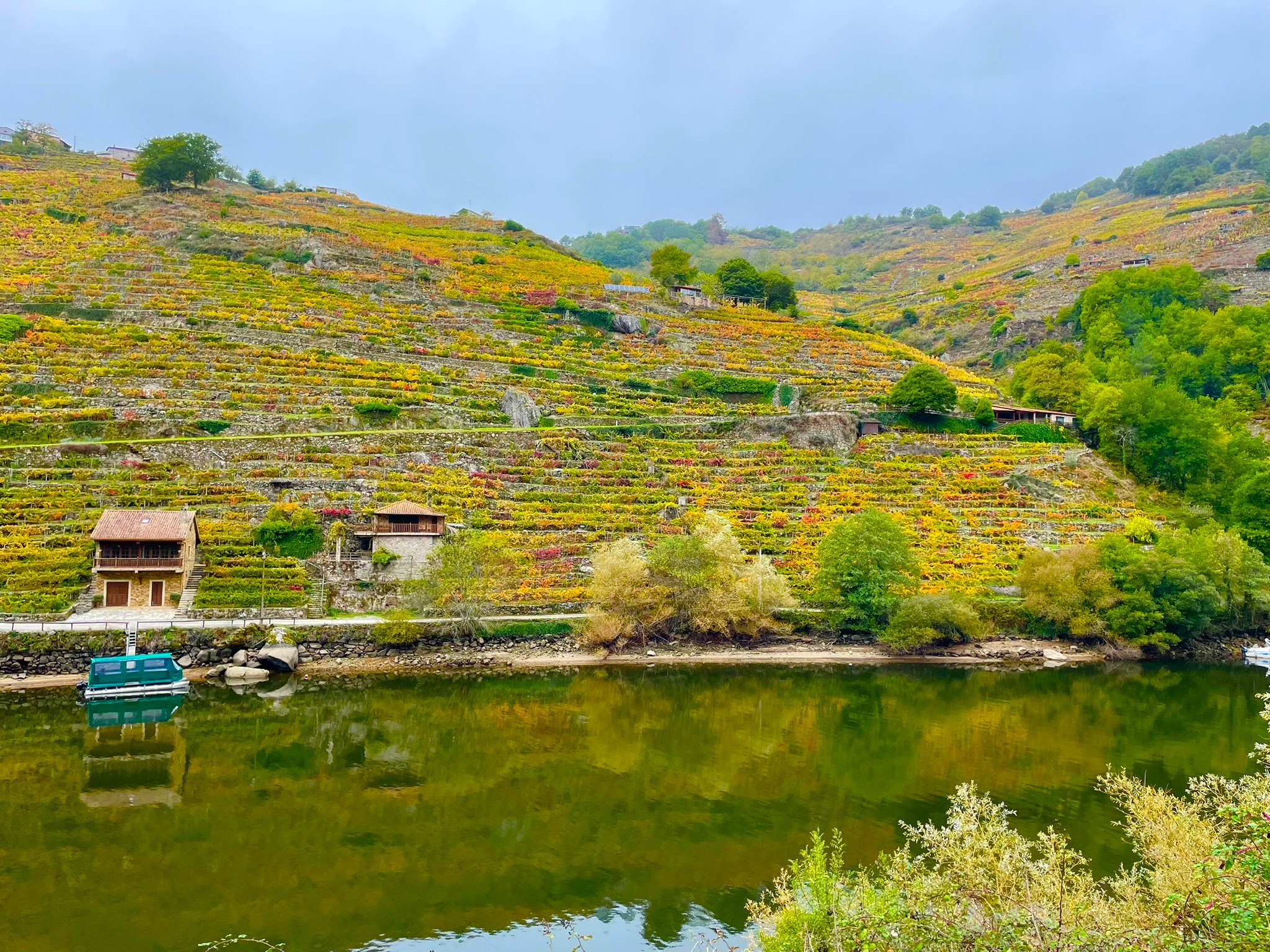 bancales-vinedo-canon-mino-ribeira-sacra