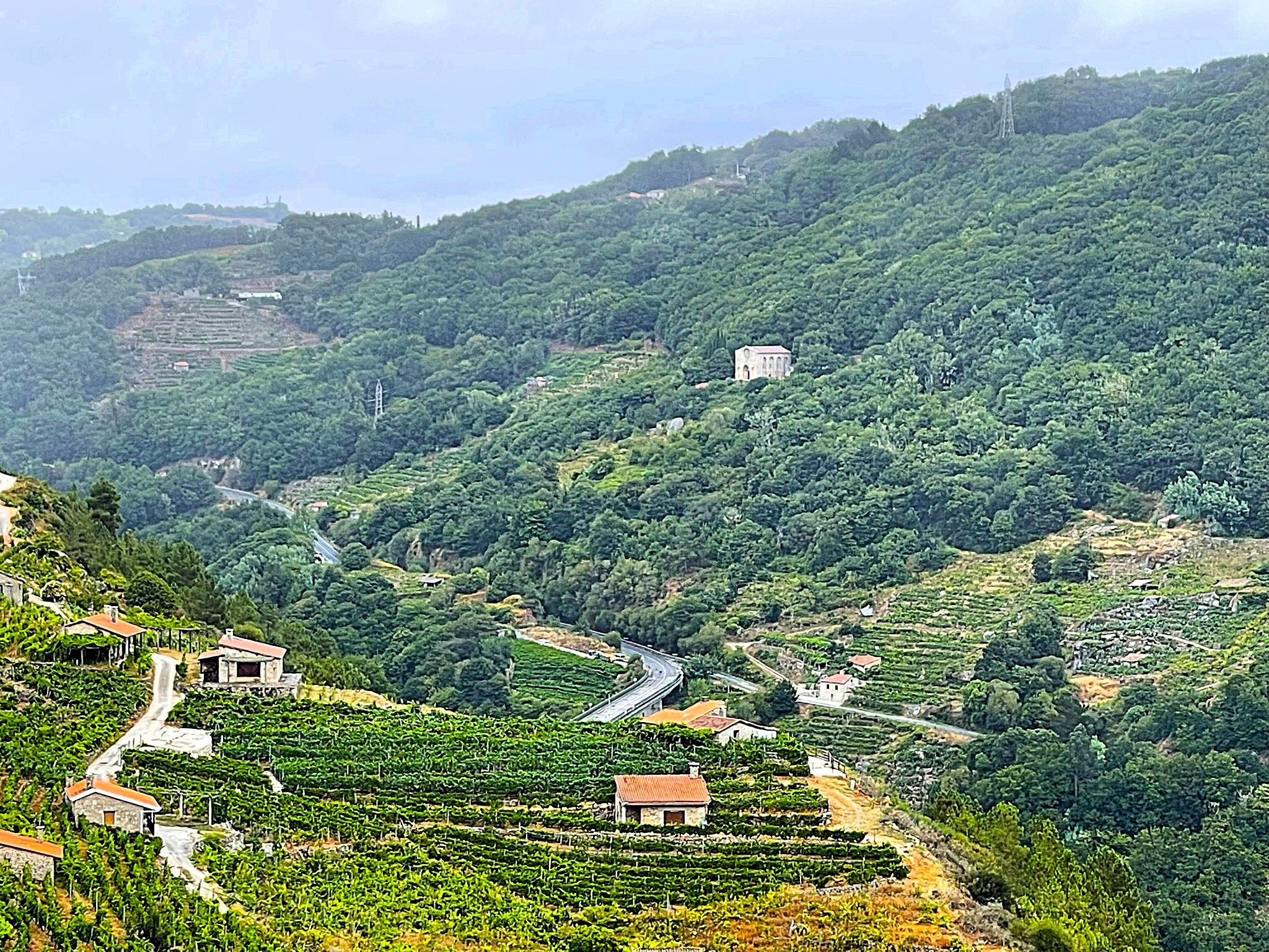 canon-mino-vinedos-ribeira-sacra-galicia