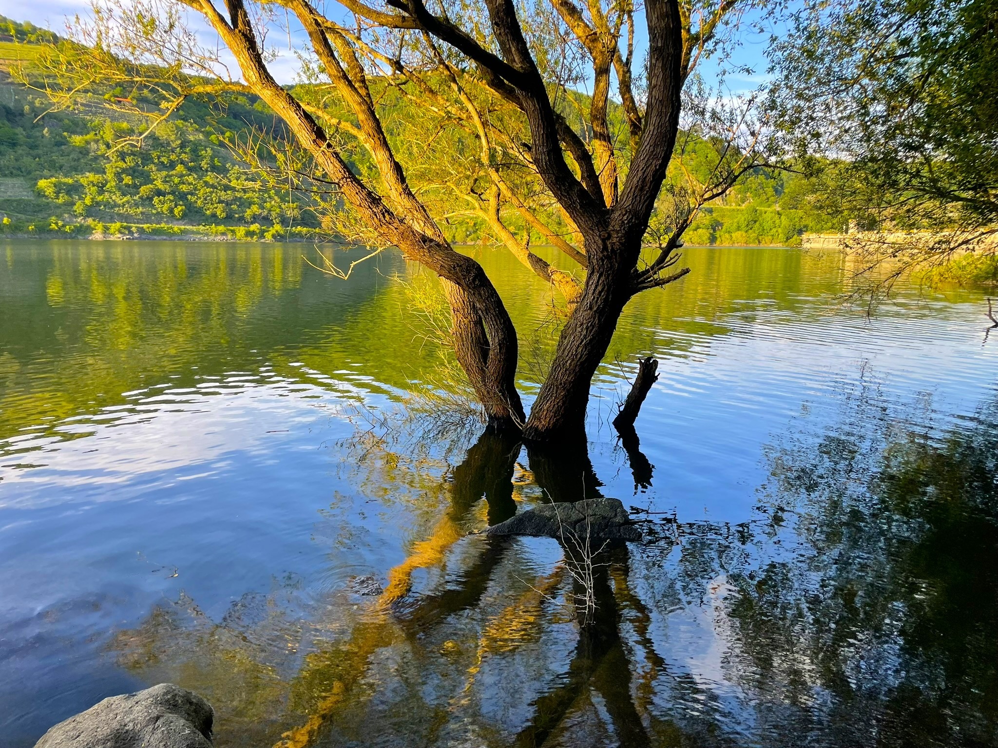 casa-mina-rula-paisaje-de-agua-rio-mino-arbol-y-reflejos