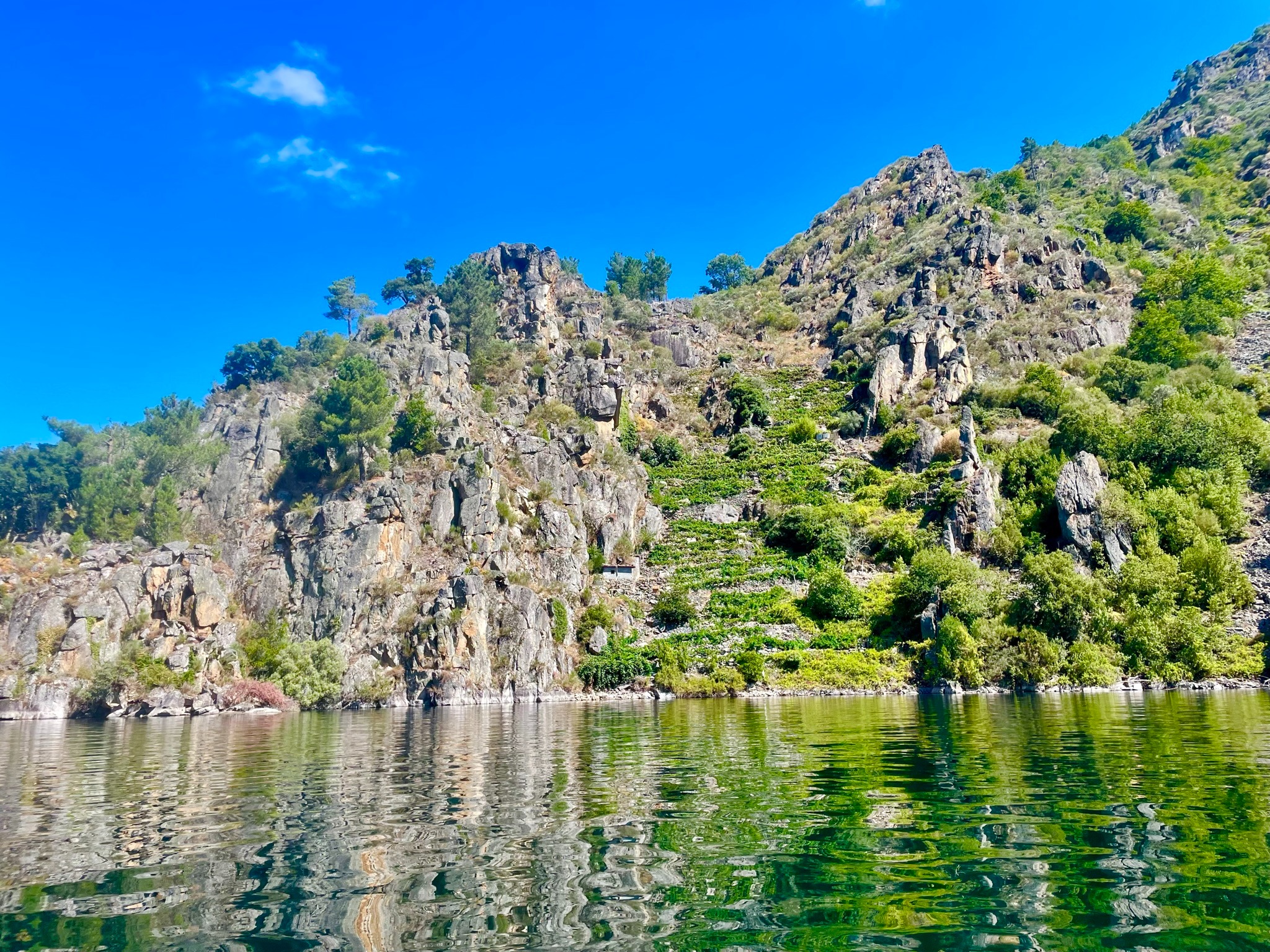 laderas-vinedo-ribeira-sacra-turismo-rural