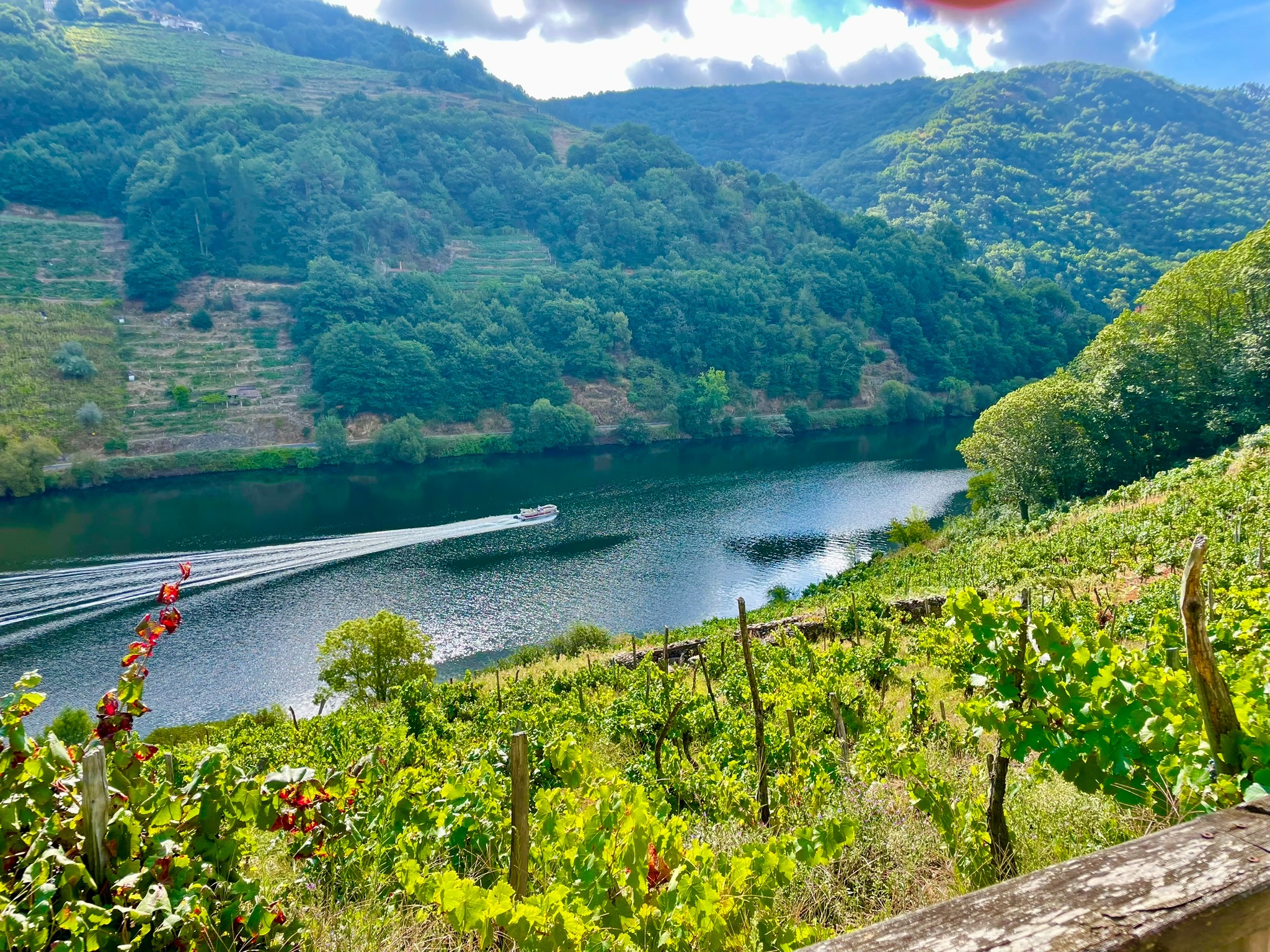 paisaje-de-agua-rio-mino-desde-barca-ribeira-sacra