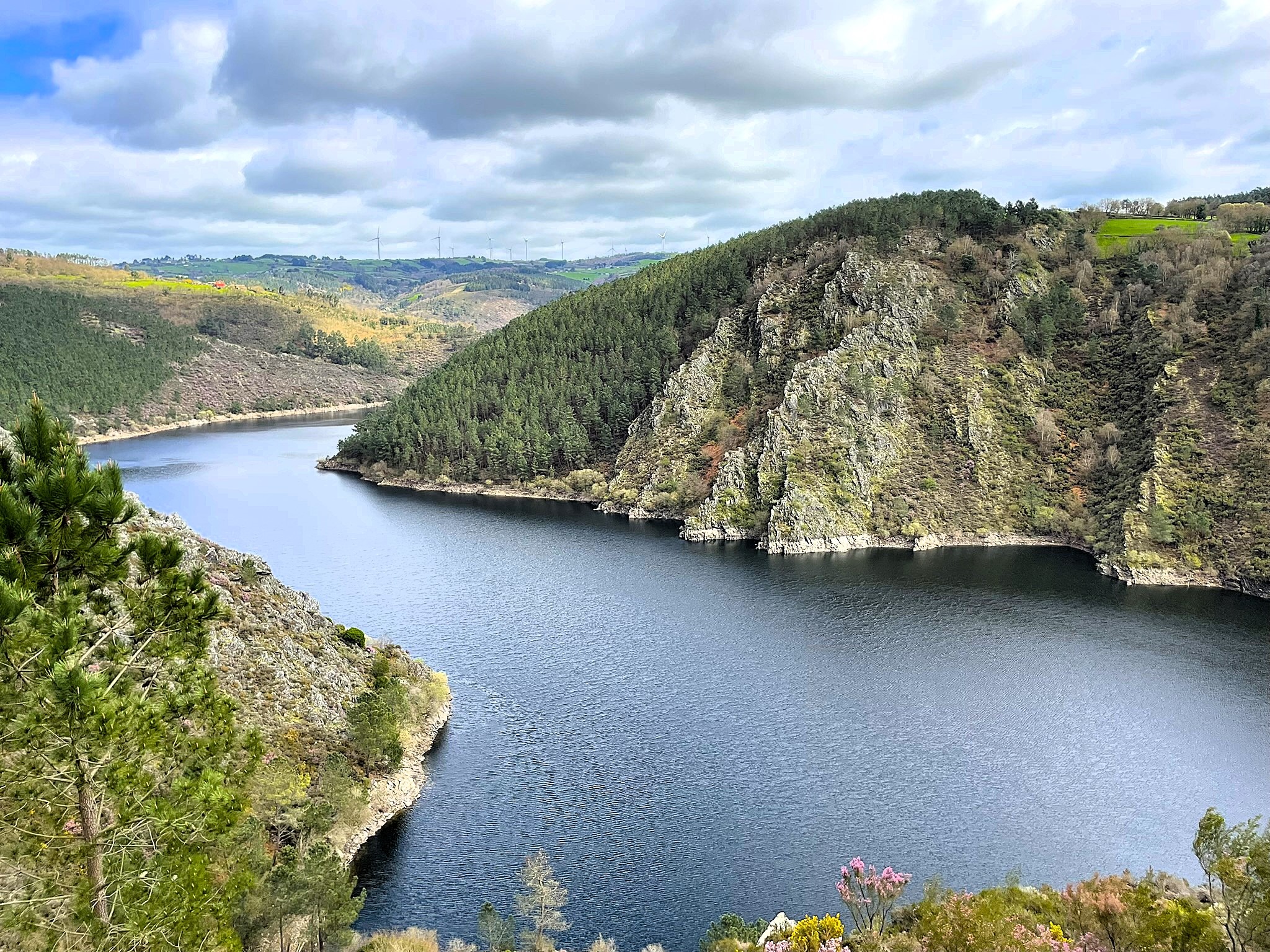 paisaje-de-agua-rio-mino-entre-arboles-ribeira-sacra