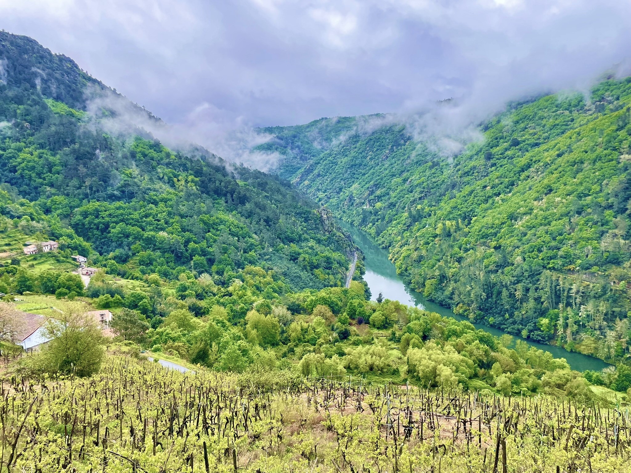 paisaje-de-agua-rio-mino-vinedos-y-valle-ribeira-sacra