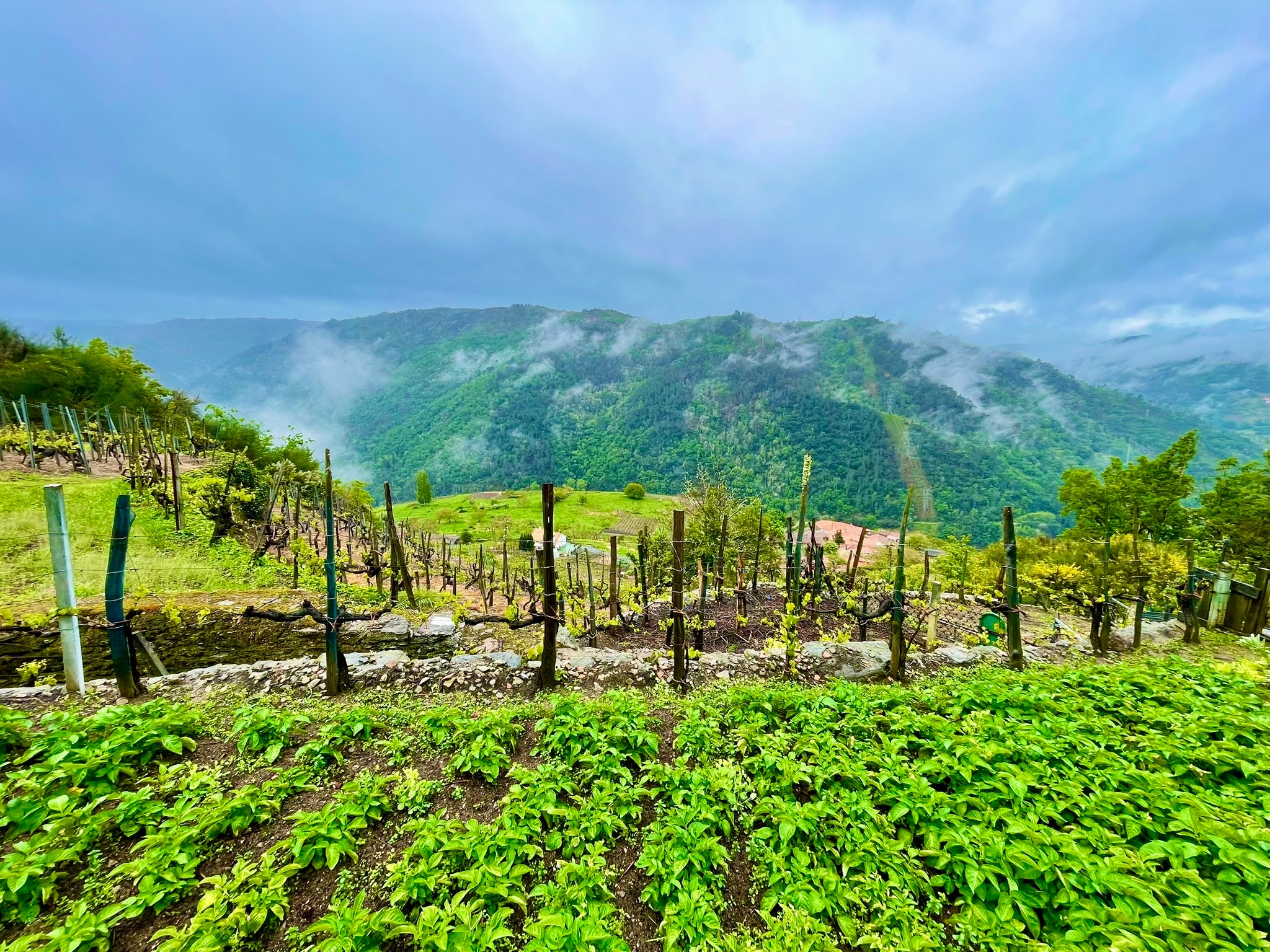 panoramica-ribeira-sacra-casa-mina-rula