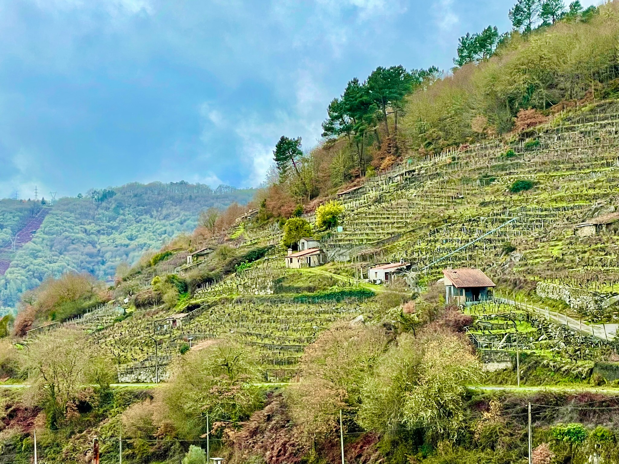 rio-mino-vinedos-casa-mina-rula