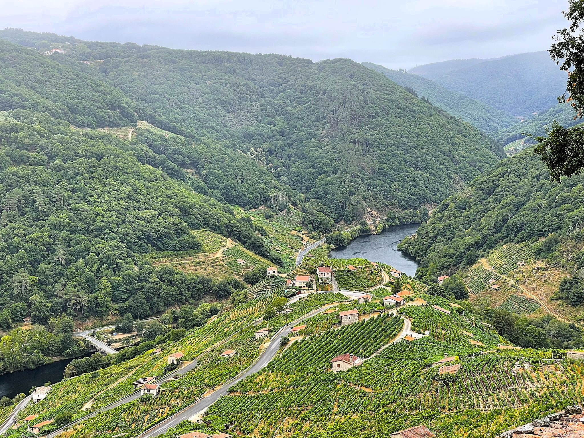 vinedos-pendiente-ribeira-sacra-tradicion