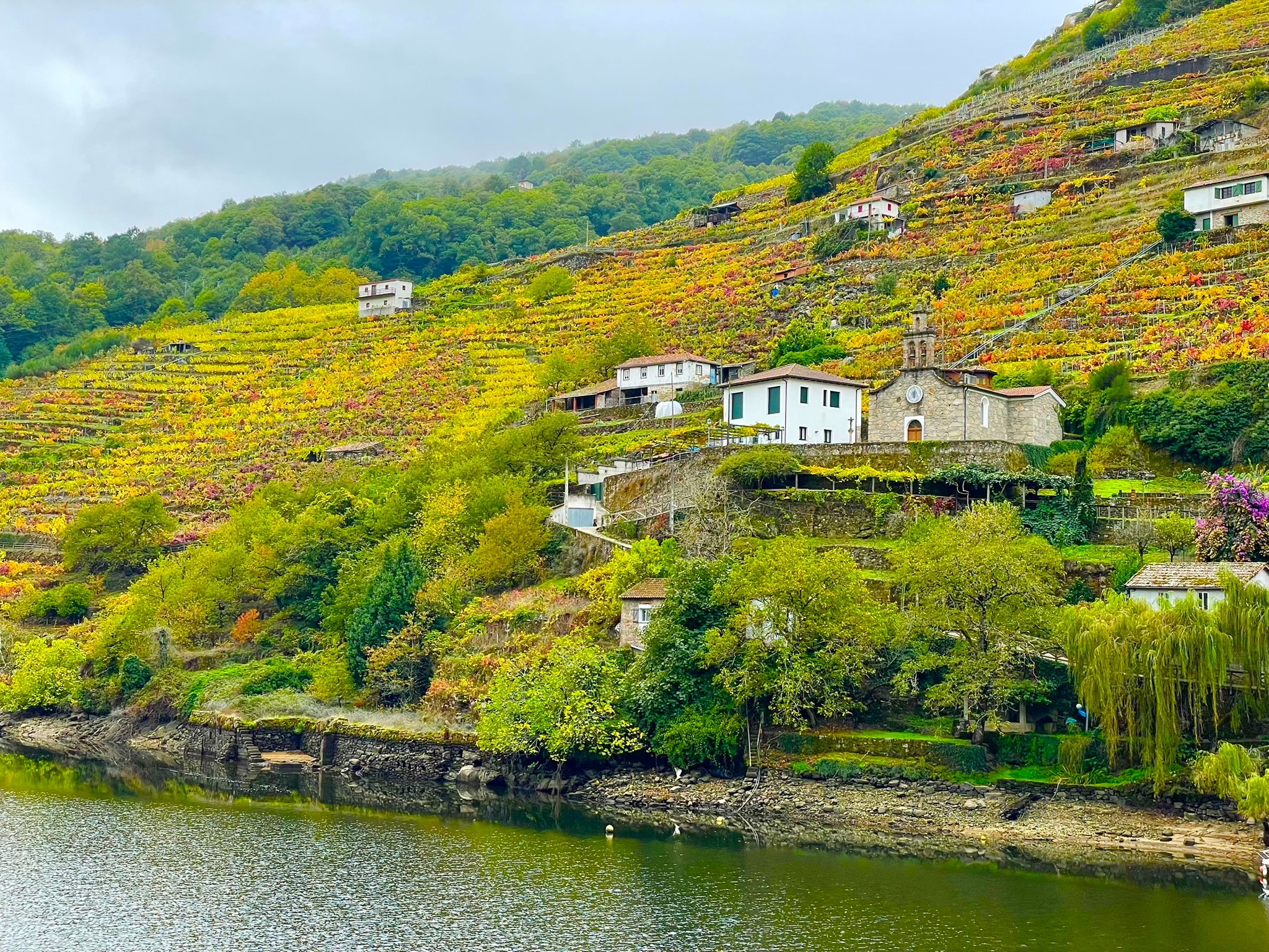 vinedos-terrazas-ribeira-sacra