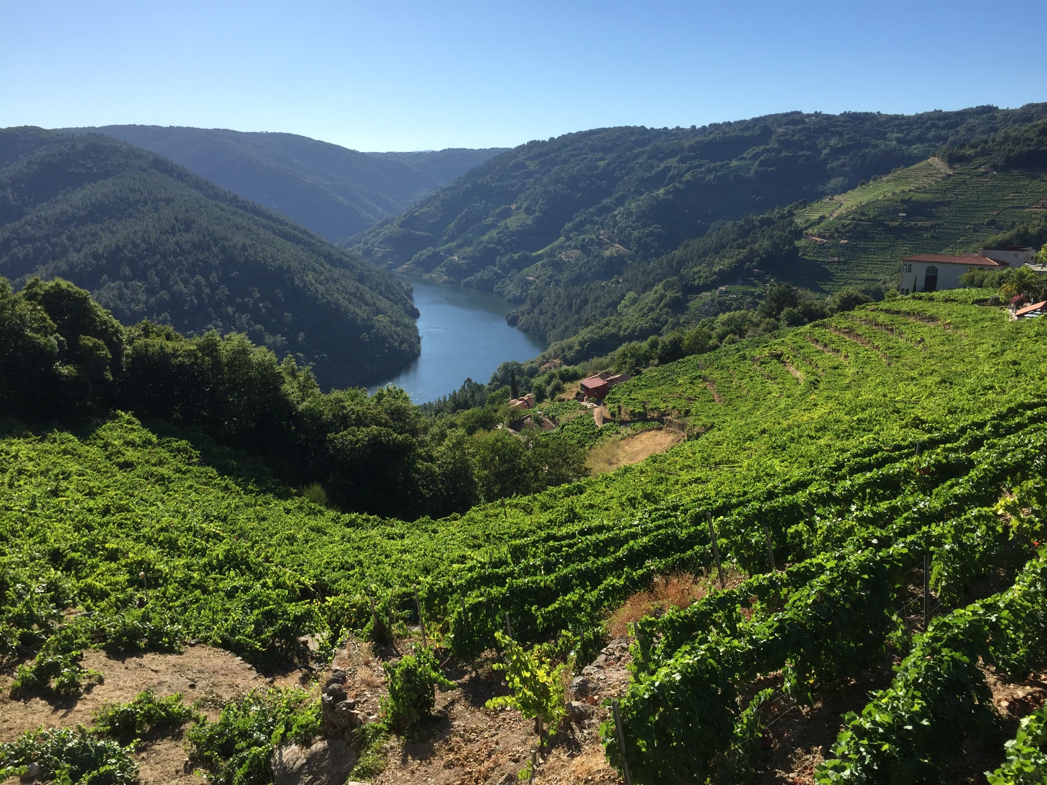 casa-mina-rula-praia-da-cova-vinedos-ribeira-sacra-rio-mino