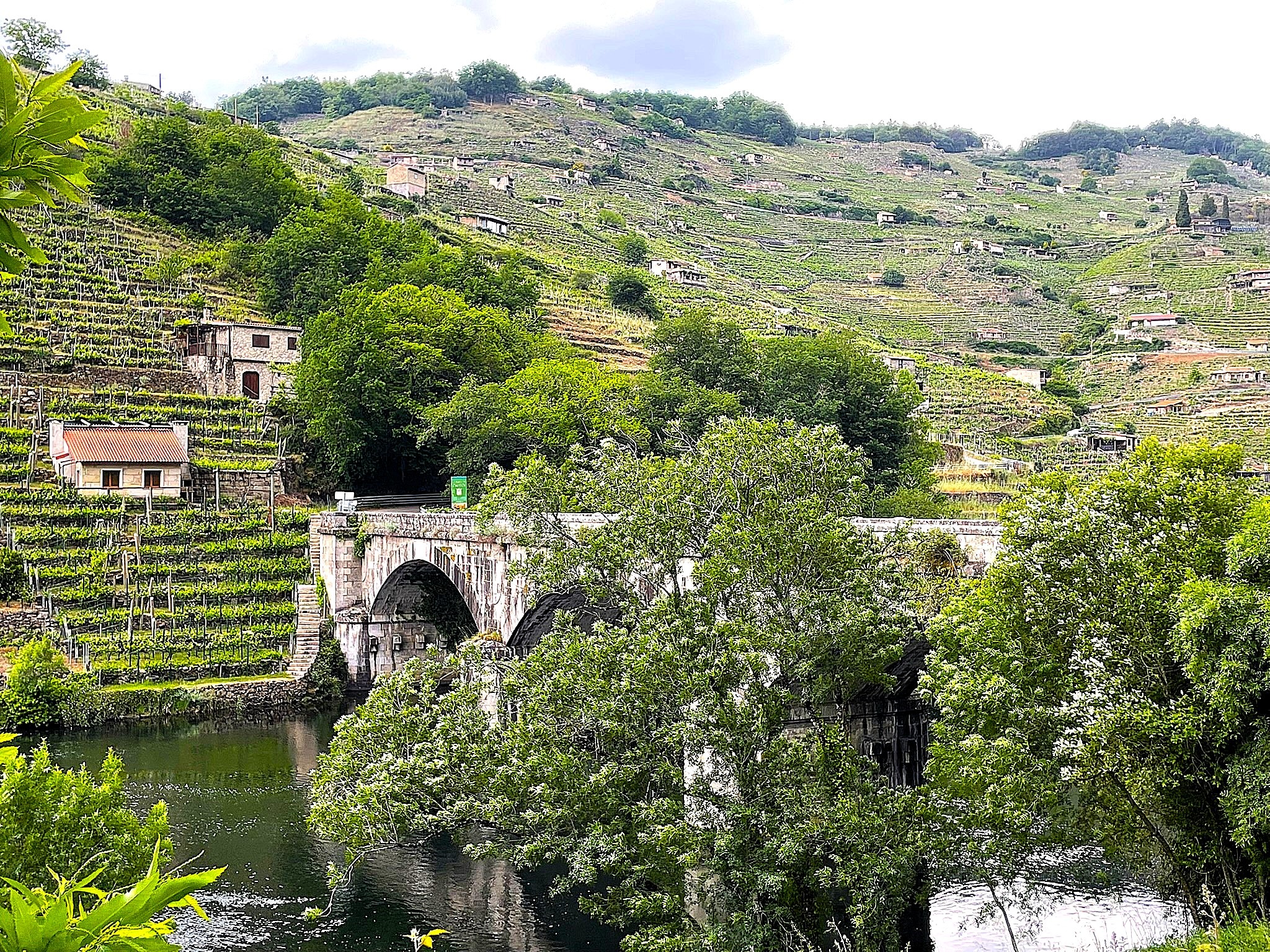 casa-mina-rula-puente-de-san-fiz-ribeira-sacra-vinedos