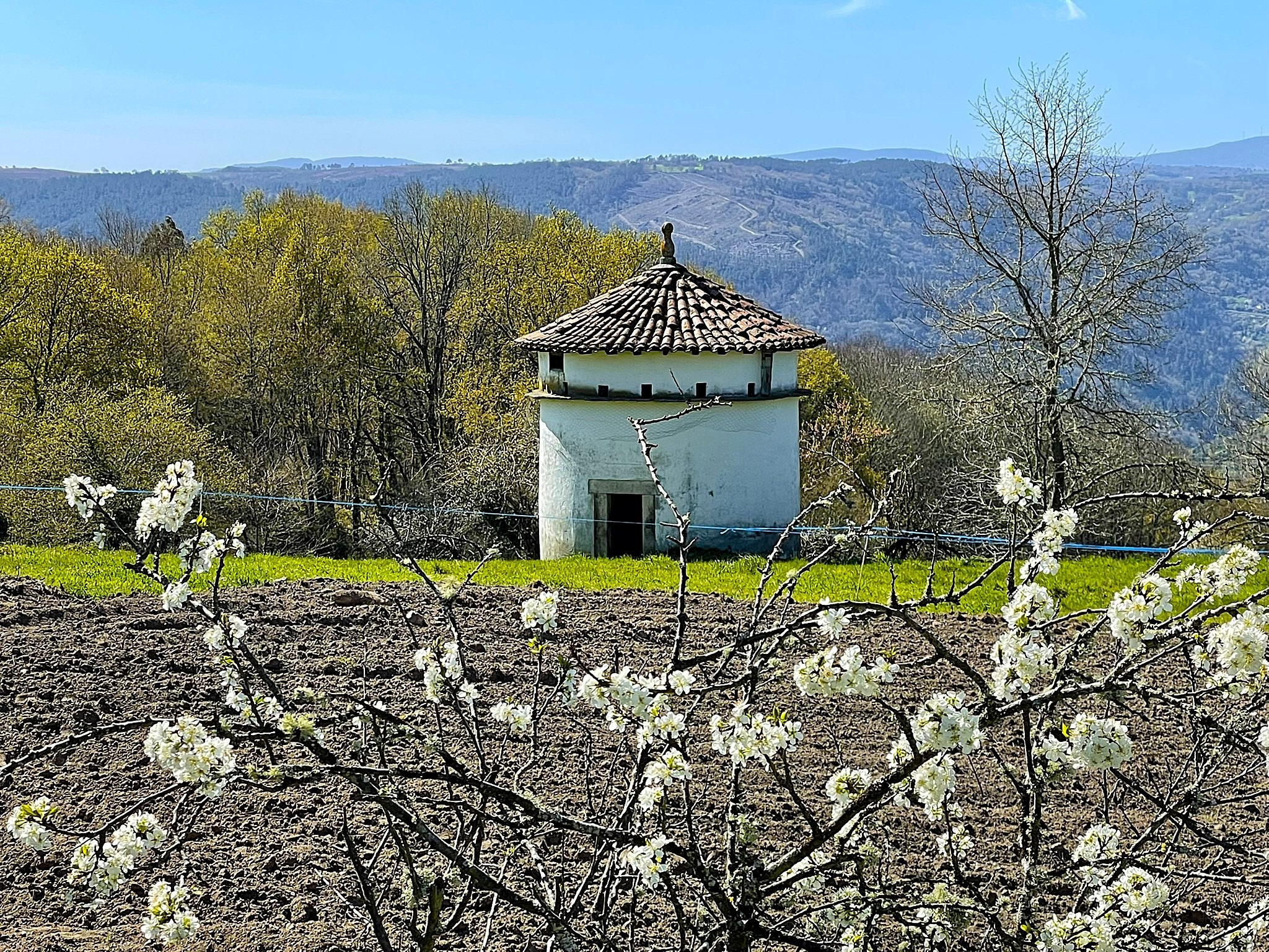 mirador-cabo-do-mundo-ii-primavera-ribeira-sacra-lugo