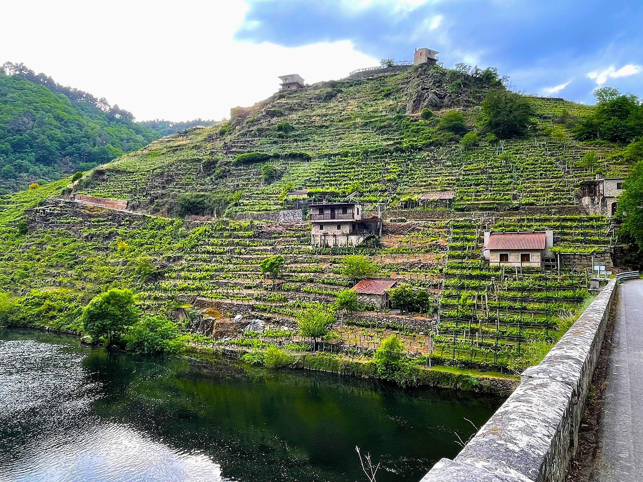 puente-de-san-fiz-paseo-entre-vinedos-ribeira-sacra