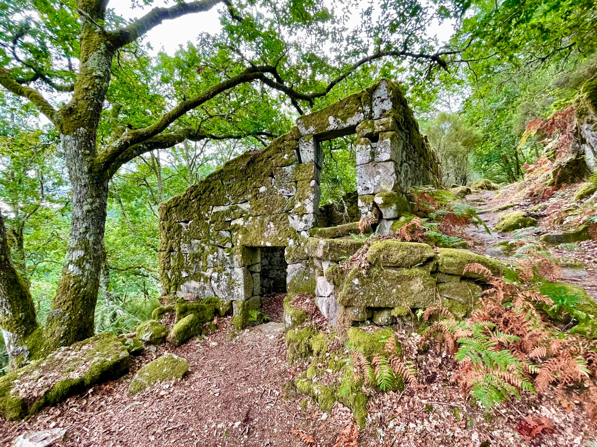 casa-mina-rula-ruta-san-xoan-de-cachon-sequeiro-de-castanas-ribeira-sacra