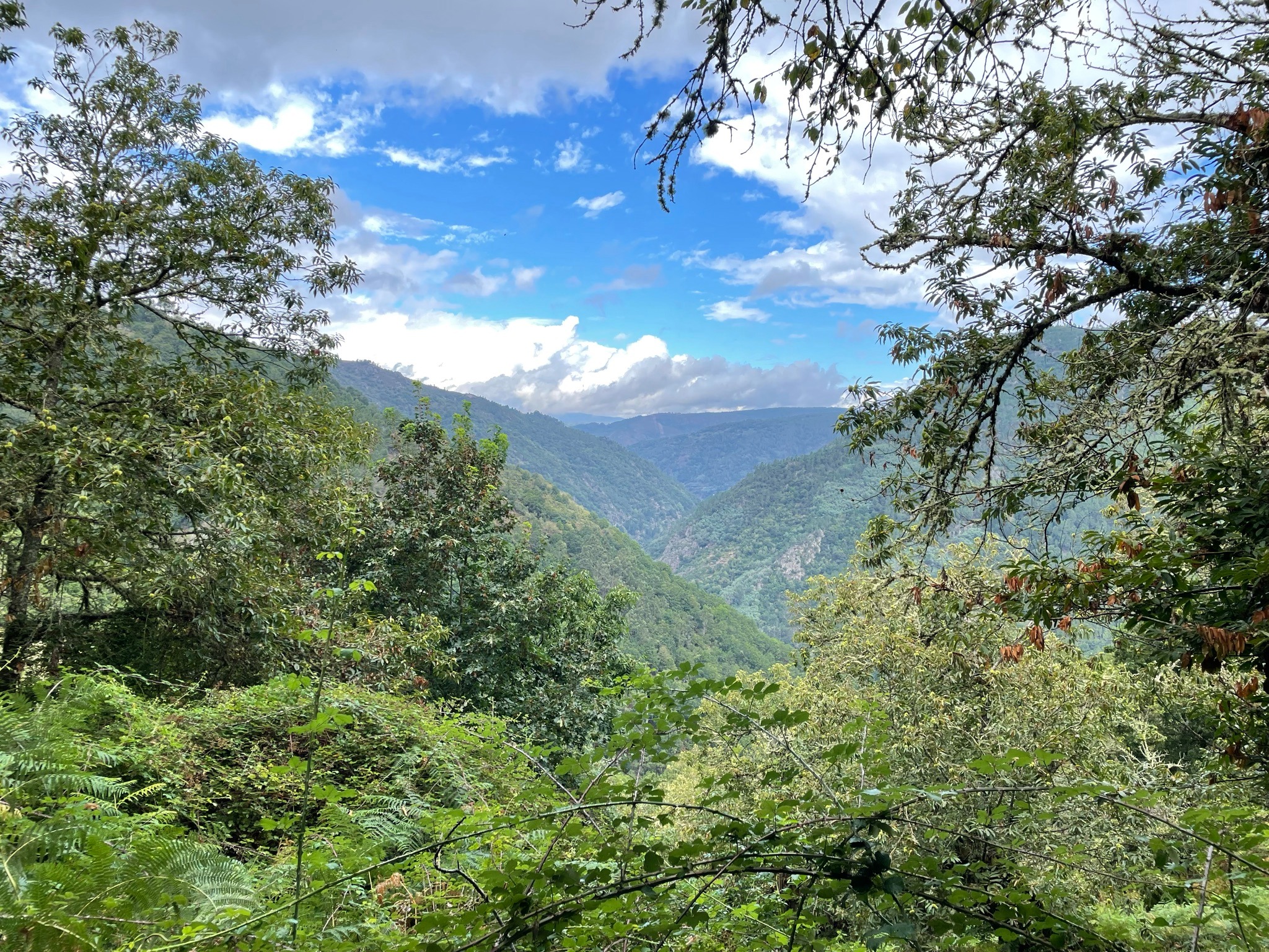 casa-mina-rula-vistas-ribeira-sacra-ruta-san-xoan-de-cachon