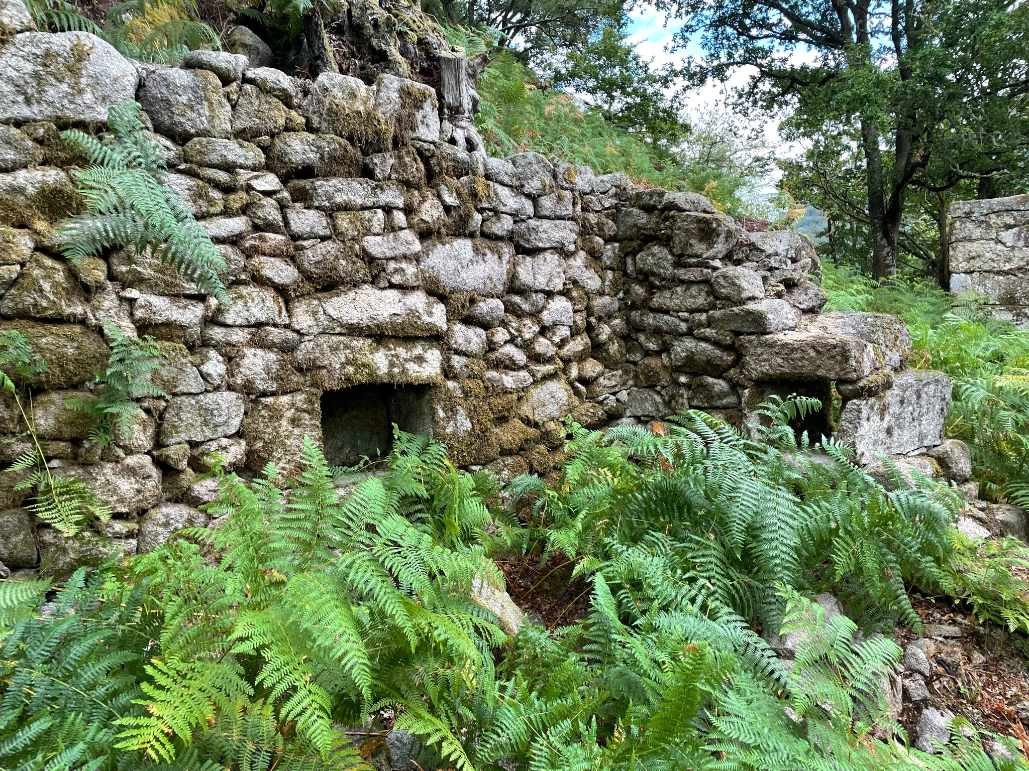 senderismo-ruta-san-xoan-de-cachon-ribeira-sacra