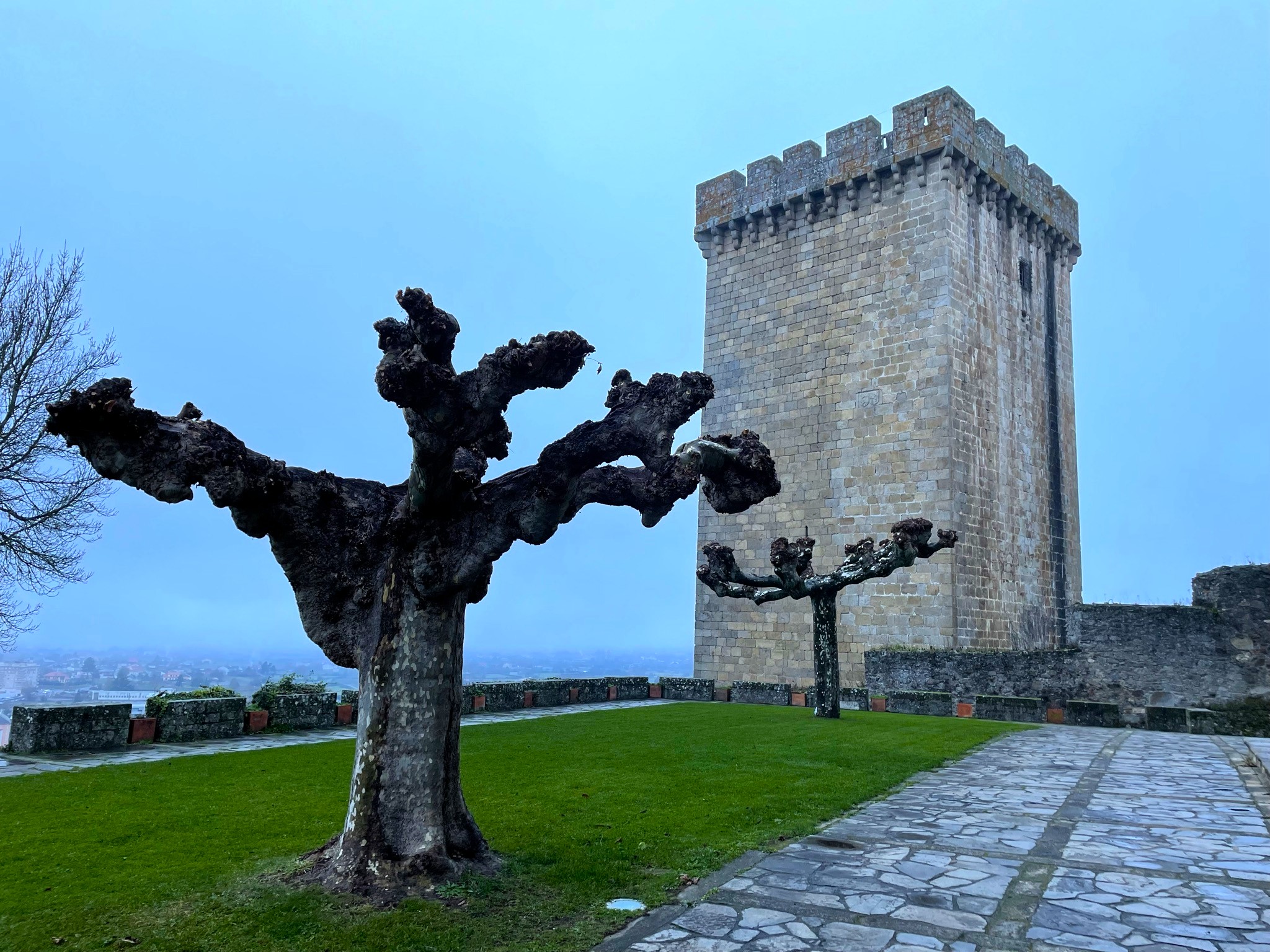 torre-san-vicente-do-pino-monforte