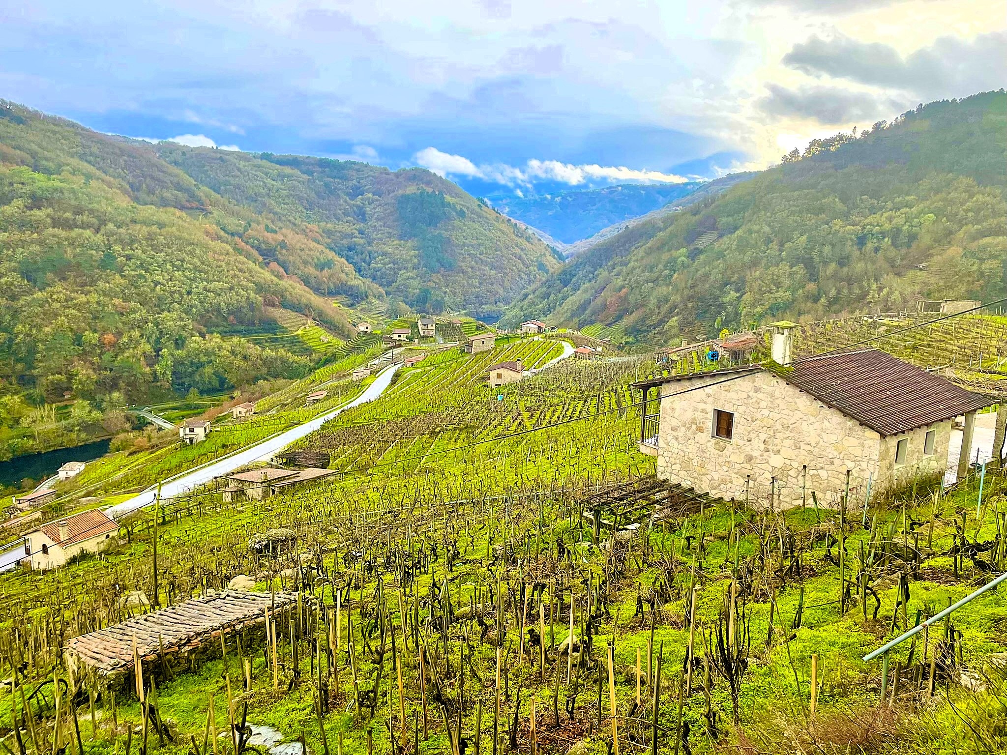 casa-mina-rula-mirador-do-mino-chantada-ribeira-sacra-vendimia-heroica