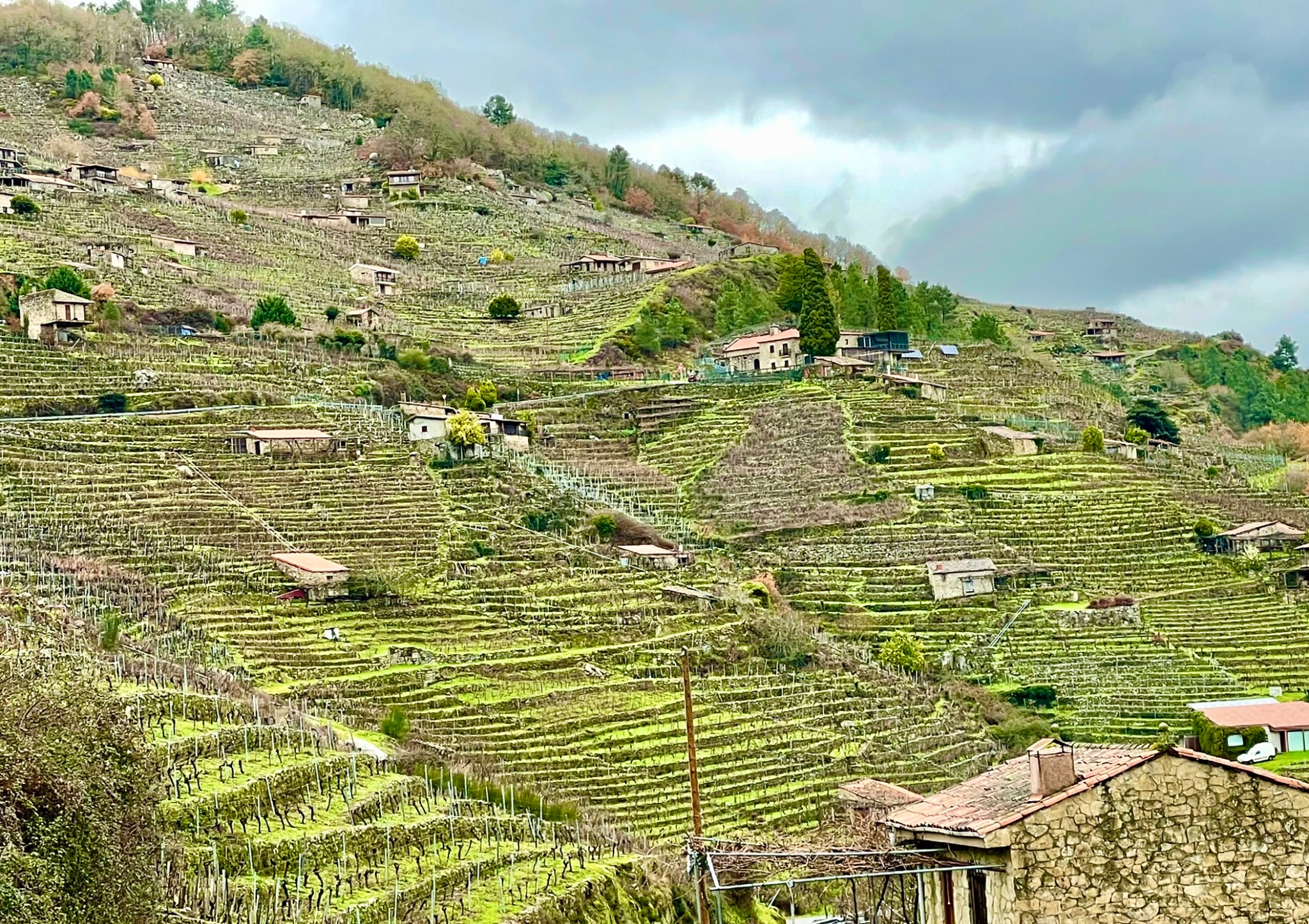 casa-mina-rula-paisaje-vinedos-mirador-do-mino-ruta-en-coche