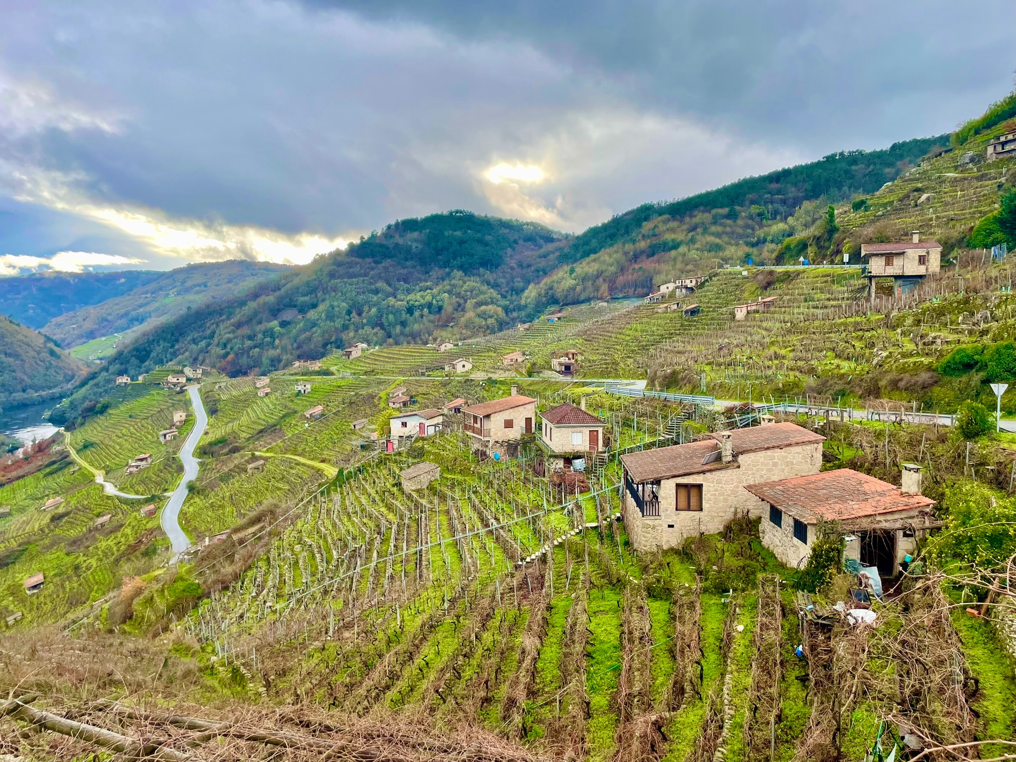 casa-mina-rula-vinedos-mirador-do-mino-chantada-vendimia-heroica
