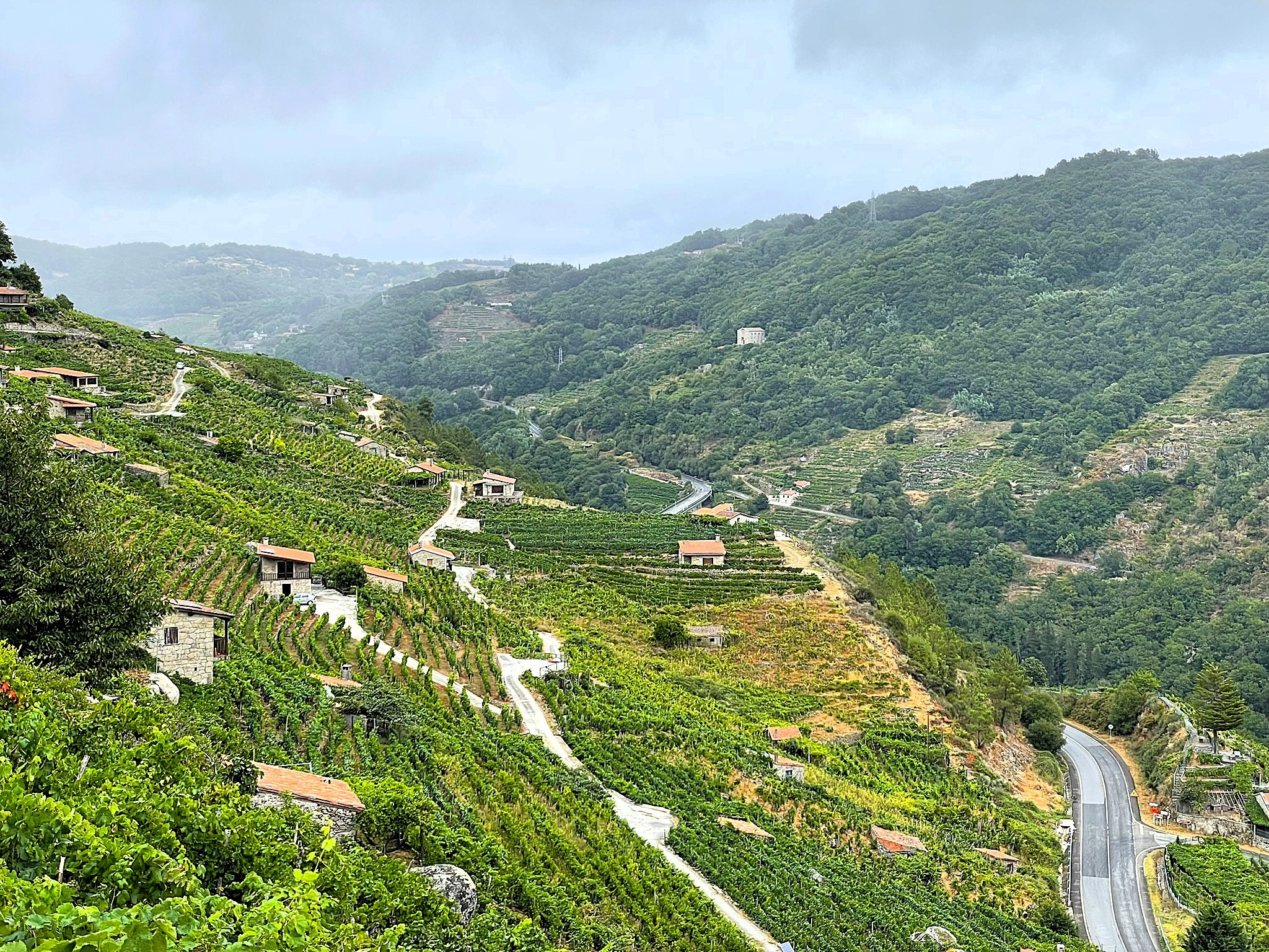 laderas-vinedos-ribeira-sacra-mirador-do-mino-chantada
